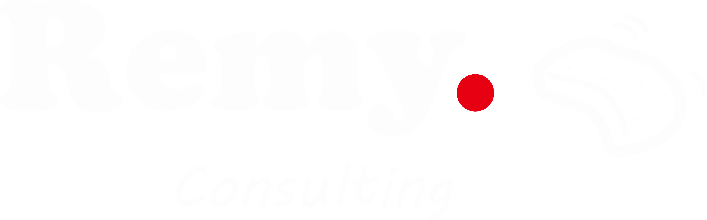 Remy Consulting